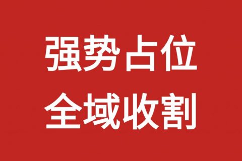 品牌增长咨询公司有哪些类型？五类机构全面解析