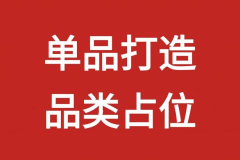 十大品牌战略营销咨询公司推荐：奥思互动系统增长